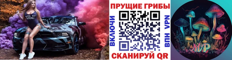 Галлюциногенные грибы GOLDEN TEACHER  Купить где  Бирюсинск 